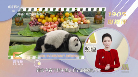 伊人射